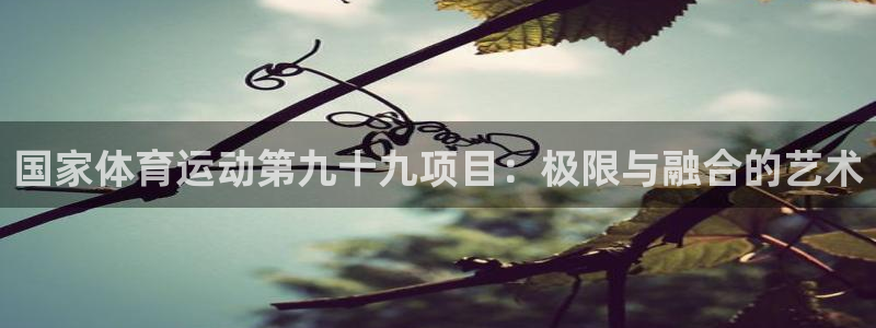 球深体育比分：国家体育运动第九十九项目：极限与融合的艺术