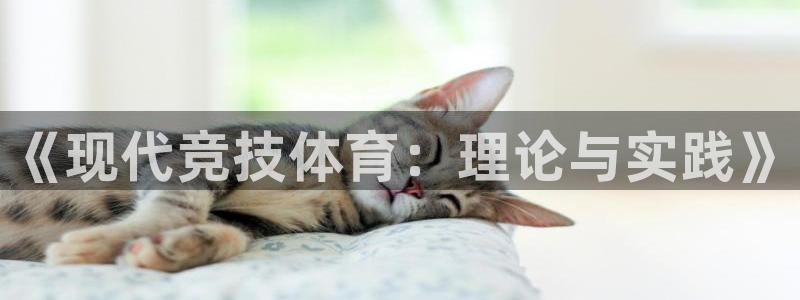 球深体育比分：《现代竞技体育：理论与实践》