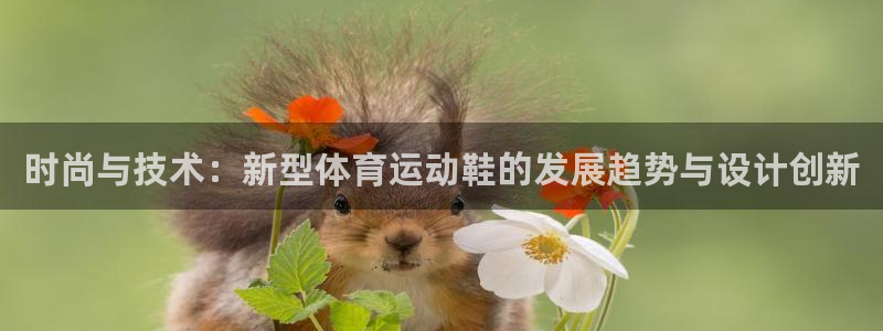 球深体育比分：时尚与技术：新型体育运动鞋的发展趋势与设计创新
