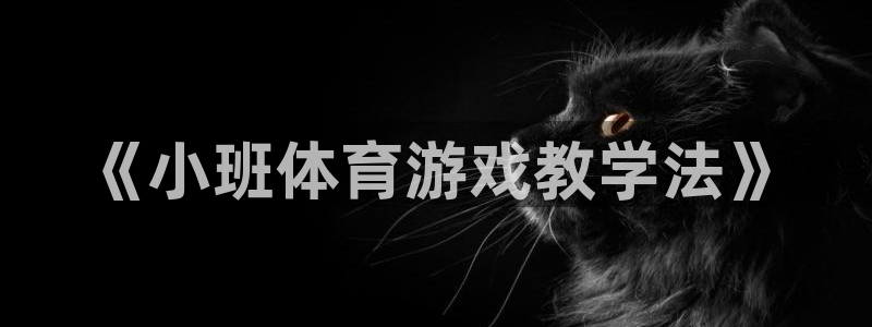 球深体育比分：《小班体育游戏教学法》