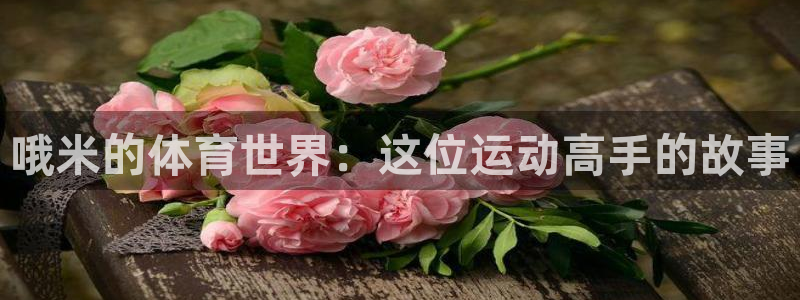 球深体育比分：哦米的体育世界：这位运动高手的故事