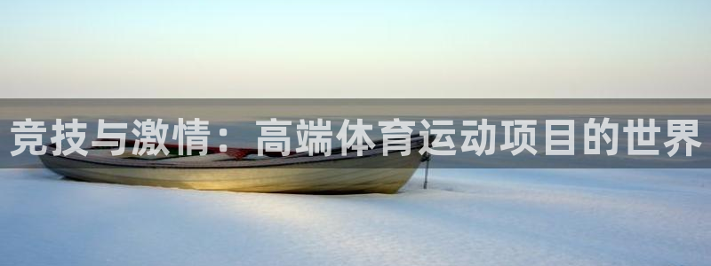 球深体育比分：竞技与激情：高端体育运动项目的世界