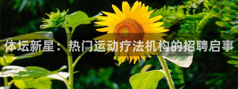 球深体育比分：体坛新星：热门运动疗法机构的招聘启事