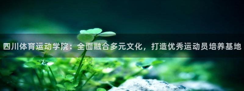 球深体育比分：四川体育运动学院：全面融合多元文化，打造优秀运动员培养基地