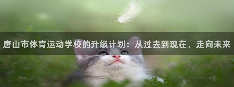 球深体育比分：唐山市体育运动学校的升级计划：从过去到现在，走向未来
