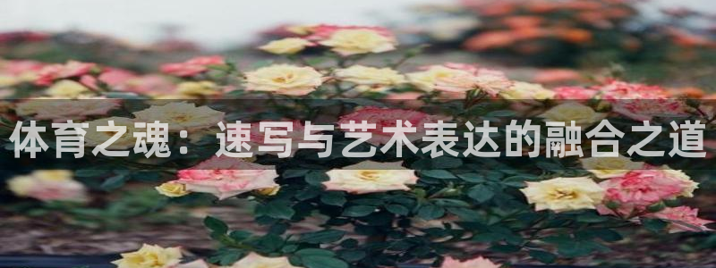 球深体育比分：体育之魂：速写与艺术表达的融合之道